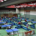 S. Frazyk Halle
