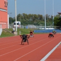 200m Rollsthulsport